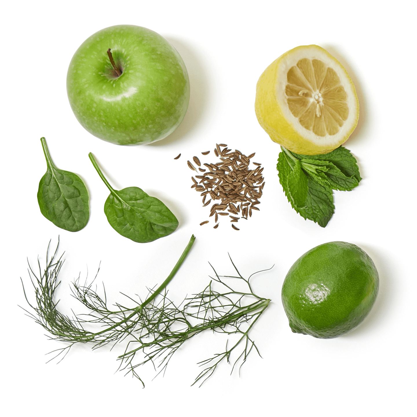 Hilma Gut Instinct Shot